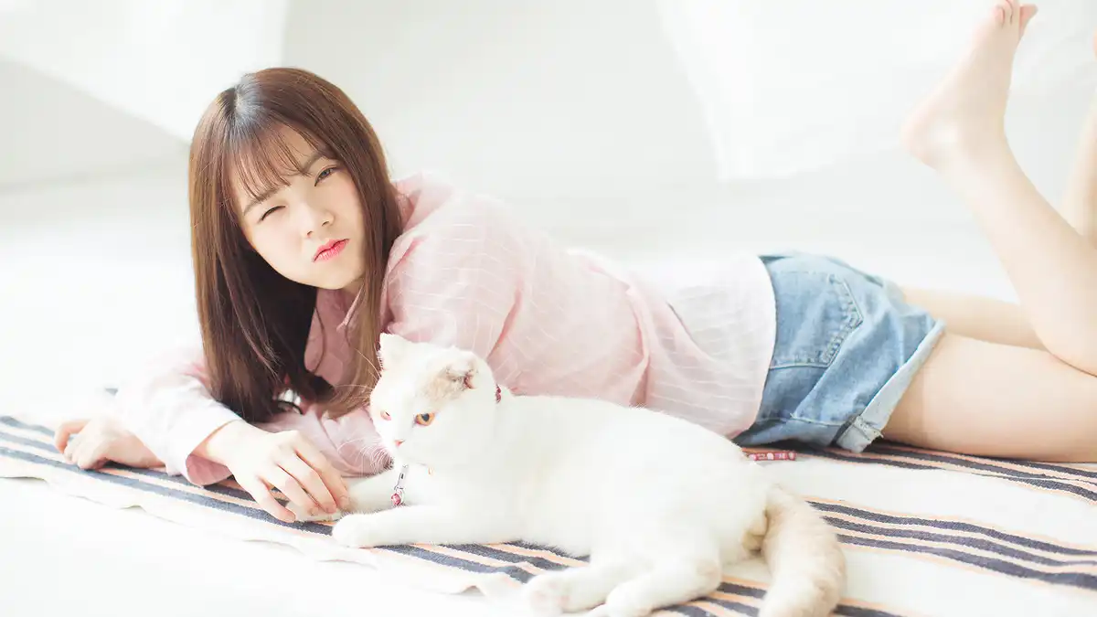 自媒体导航-https://www.zmt.wiki